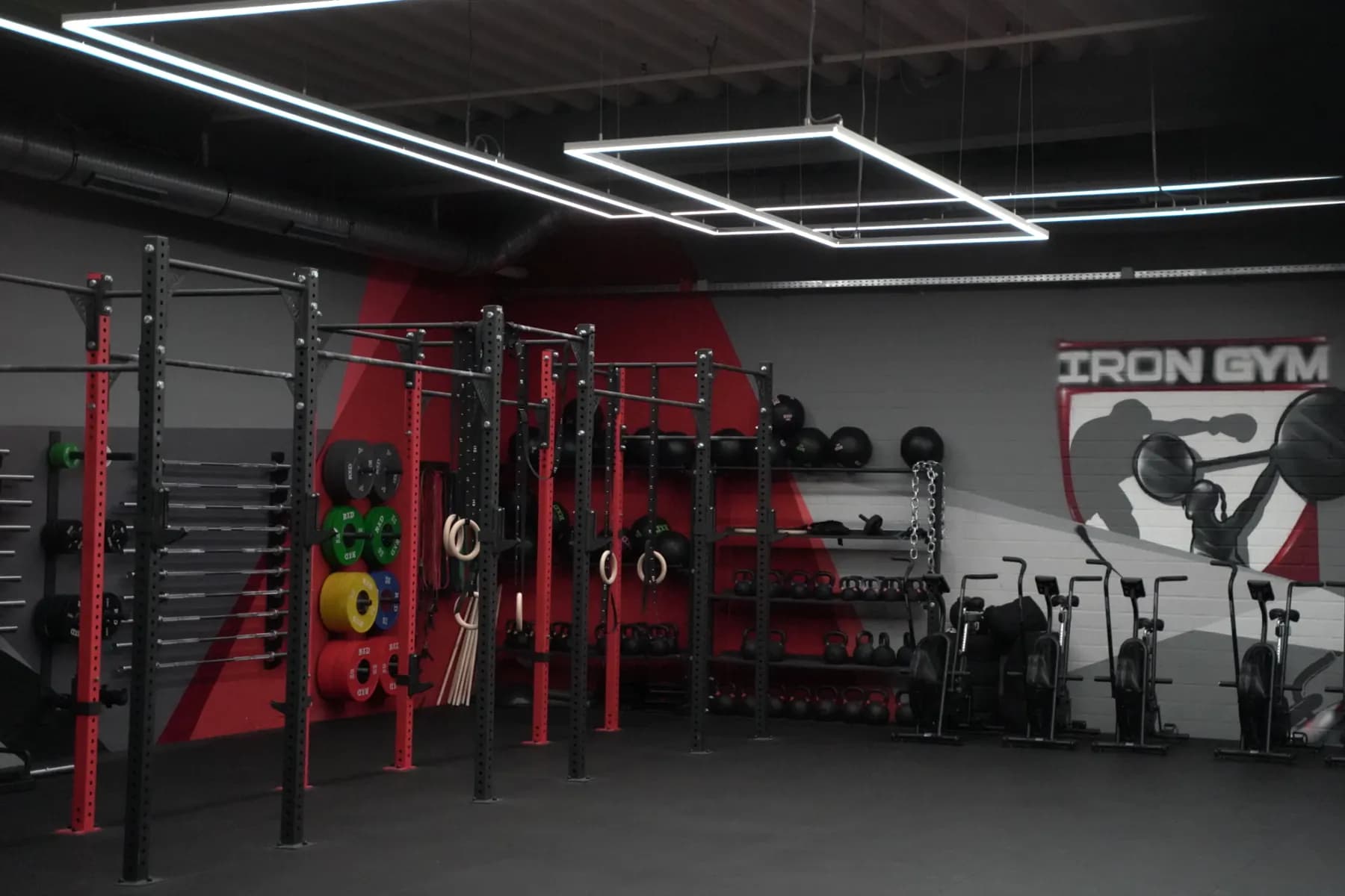 Athletikfläche im Iron Gym Viersen mit Rig, Turnringen, Bumper Plates, Kettlebells und Airbikes