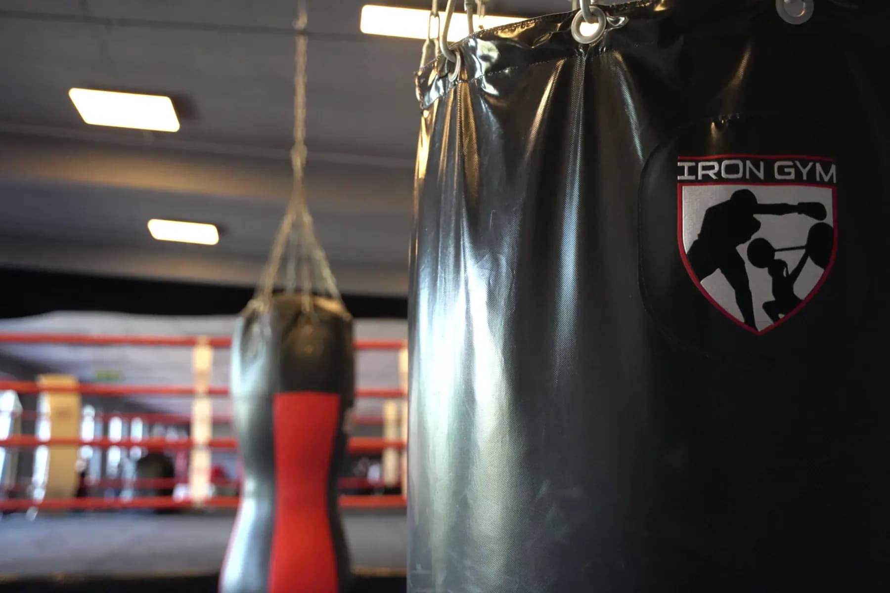 Sandsäcke mit Iron-Gym-Wappen vor dem Boxring