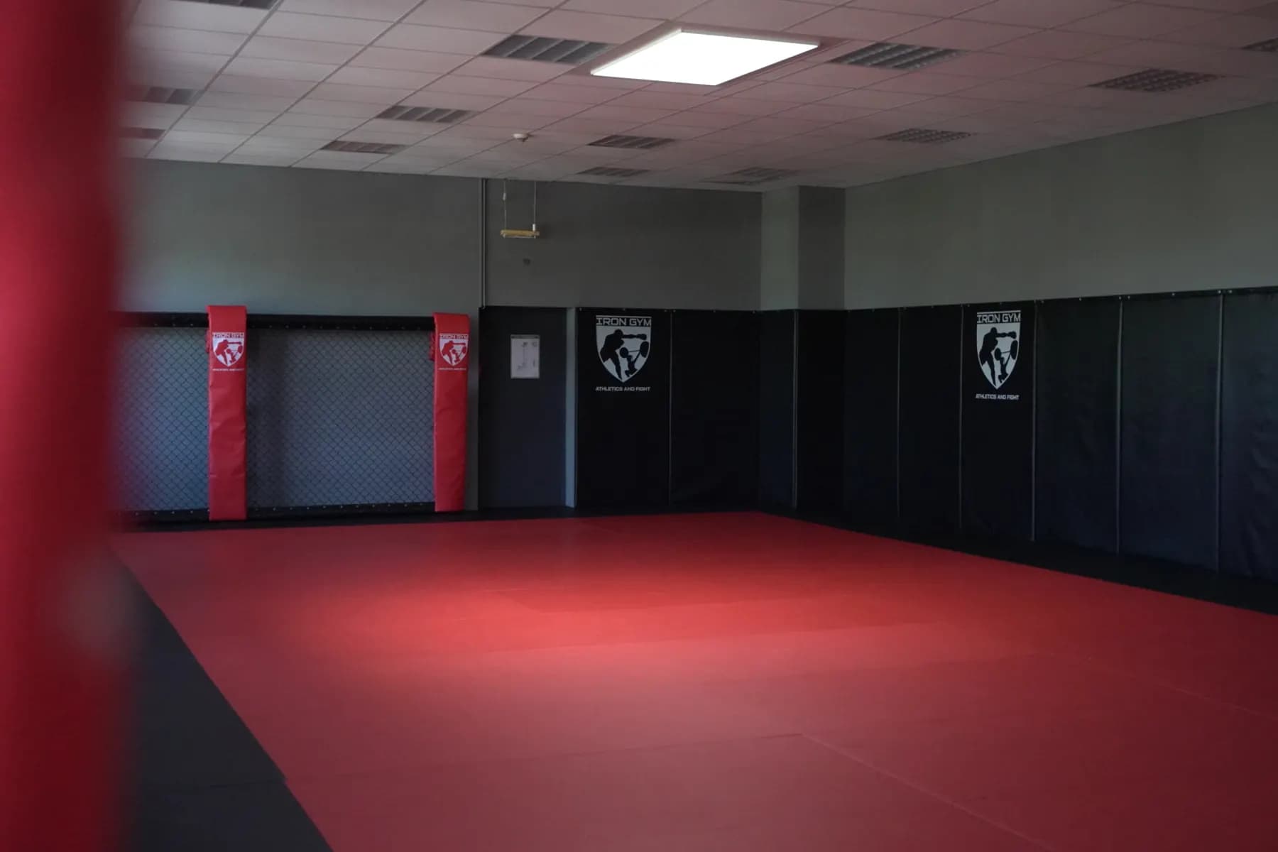 Kampfsportfläche mit MMA-Käfig und roter Mattenfläche im Iron Gym