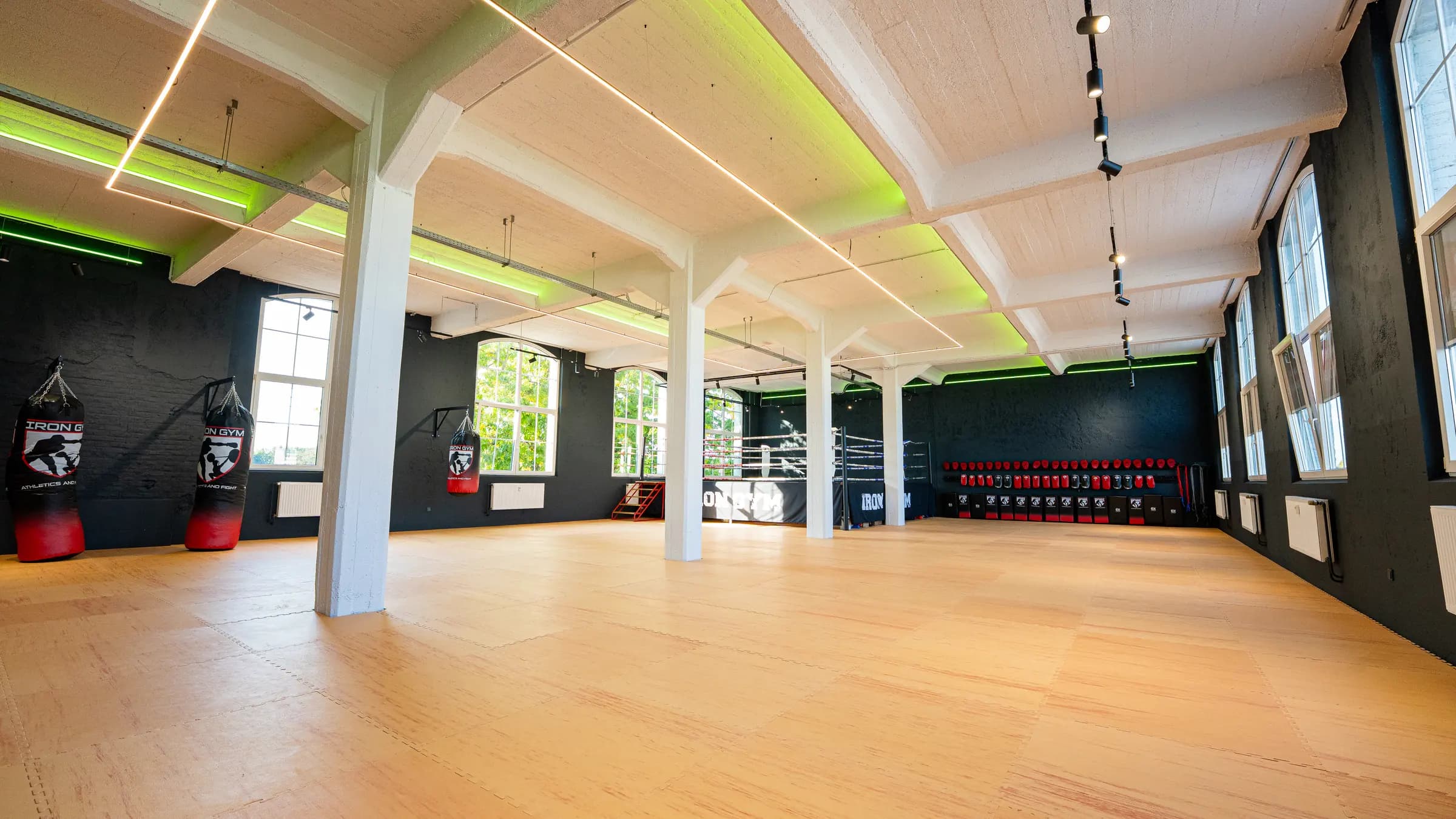 Trainingsfläche des Iron Gym Viersen mit Boxring, Sandsäcken und Pratzenwand