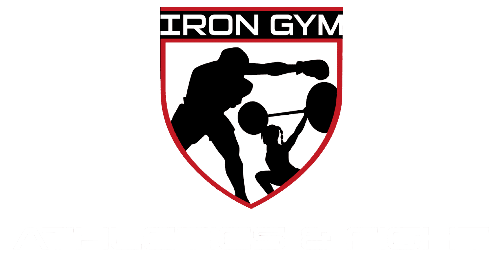 The Iron Gym